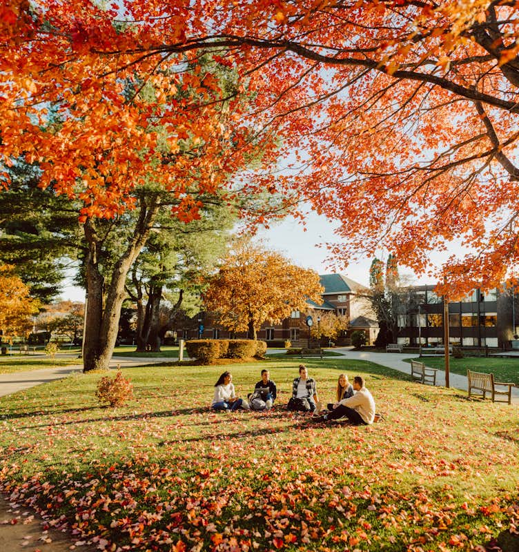 Group of students sitting on lawn under vibrant fall foliage