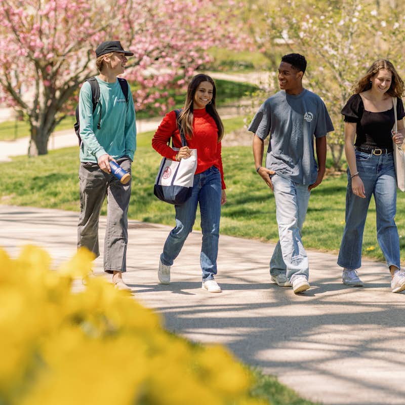 Four students walk along campus sidewalk chatting