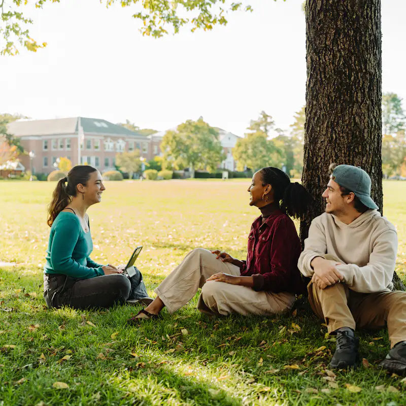 Three college students sit under a tree on a college campus in sunny weather.
