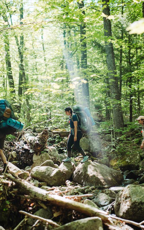 Students hike in the Adirondacks on a La Vida backpacking expedition.