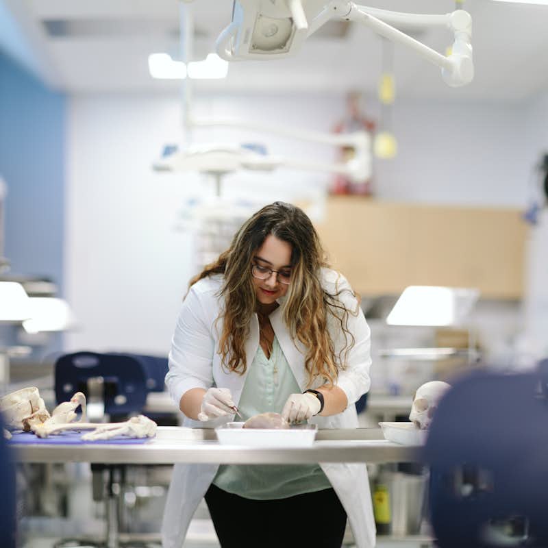 A student conducts independent scientific research