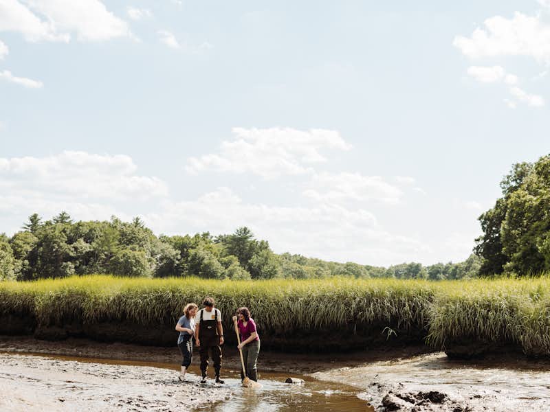 Students explore a bog with a professor