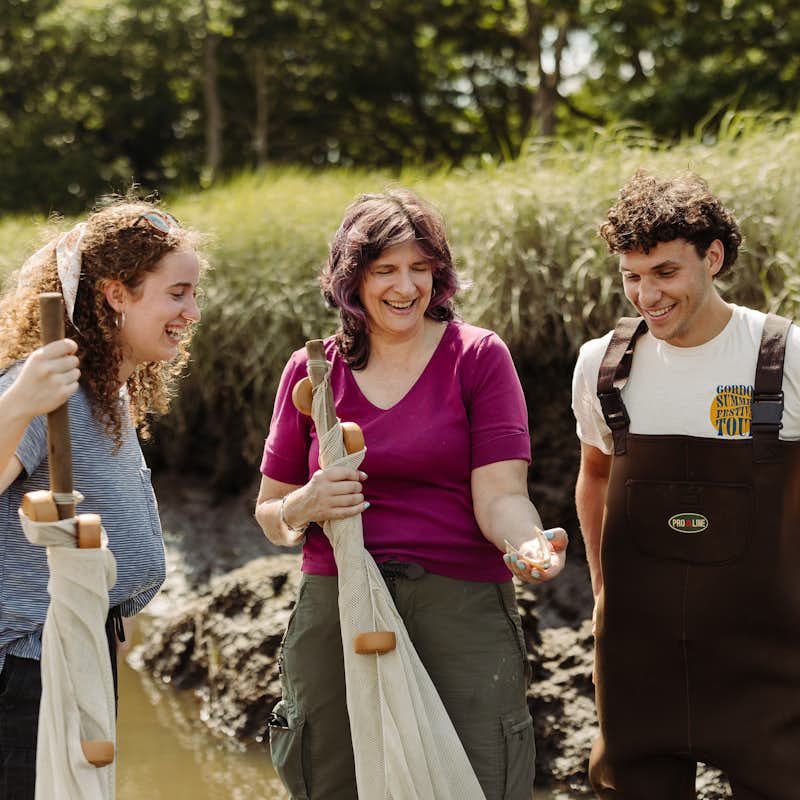 Two Gordon students and their biology professor find specimens in local wetlands
