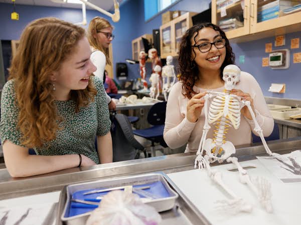 Two students use a model skeleton in a biology class.